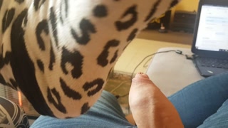 Mistress Darkshine masturbates her slave with a sock and makes him cum in the sock (from Onlyfans)