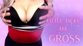 Little Dicks Are Gross