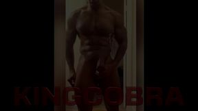 now i know why they call you the king: venus rising gets bbc training from king cobra