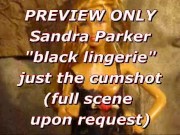 PREVIEW: Sandra Parker (black lingerie) blasted