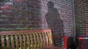 Police outdoor lesbo action of the horny big boobed MILFS