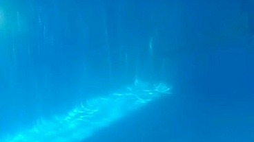 Alphacamsproductions - update #5 - EN LA PISCINA CON MI NOVIA PARTE 1 - Aug 28, 2023