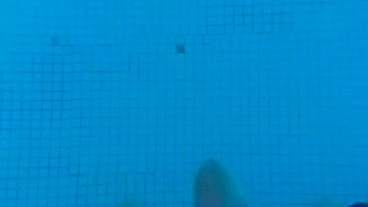 Alphacamsproductions - update #5 - EN LA PISCINA CON MI NOVIA PARTE 1 - Aug 28, 2023