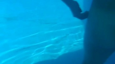Alphacamsproductions - update #5 - EN LA PISCINA CON MI NOVIA PARTE 1 - Aug 28, 2023