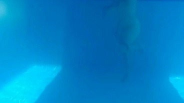 Alphacamsproductions - update #5 - EN LA PISCINA CON MI NOVIA PARTE 1 - Aug 28, 2023