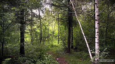 Daring Outdoor Piss Ritual in Park - Kinky Mary Drinks Everything
