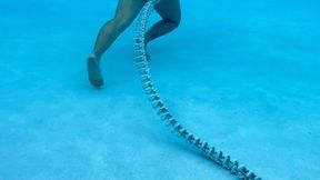 My Halloween prop snake skeleton taking a "test drive" in the resort pool