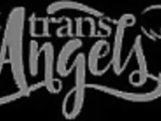 Hands On Treatment / TransAngels