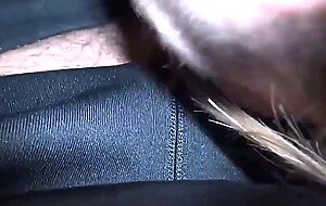 Deutsches offentliches Dogging in einem Auto mit einem geilen Babe