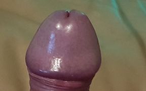 My Husband Is Playing with His Little Cock in Bed, He Is Waiting for Me to Come and Suck on His Cock