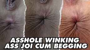 ASSHOLE WINKING ASS JOI CUM BEGGING - 4K