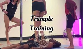 Haus training trample lesson with new mentees
