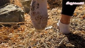 Dirty sock