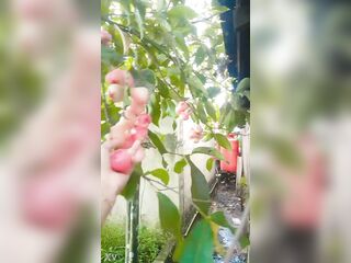Ayangsari cewek janda kalimantan