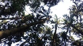 Jerking off in the forest