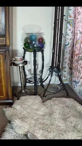 Stream