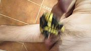 Solo Masturbate Huge Uncut Cock With Mushroom Head Using Gloves