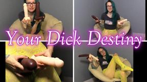 Your Dick Destiny
