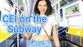 CEI on the Subway with the Girl Next Door VivienVee