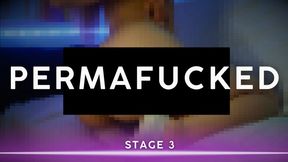 PERMAFUCKED III