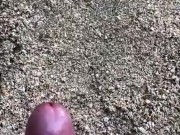 Quick Cashew NUT on the beautiful beach