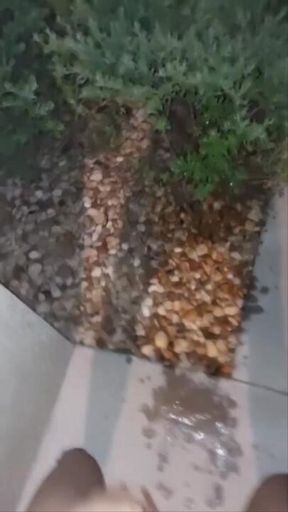 Peeeeing on my bush outside my house