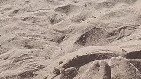 Sandy toes