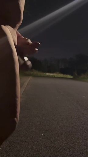 Captivating moment from "Horny trucker wanks naked in public on way home"