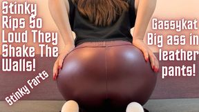 GassyKat's Leather Pants Couch Stinky Rips