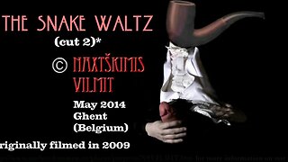 The snake waltz 2014