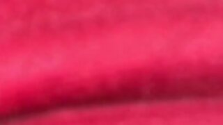 Ebony Cd Sissy Gina - Dream Gurl