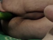 Anal cucumber
