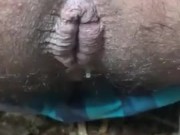 Woods Creampie