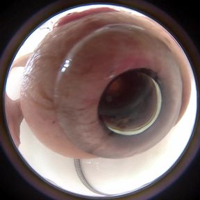 Lizzy Yum 2022 #64, glory hole #2 colon and anus kiss camera