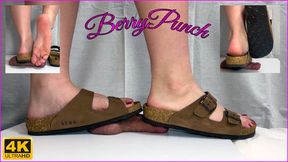 Birkenstock Cock Trampling - Shoejob - Cock Crush - Cockbox - Foot Fetish - Footjob - 4K