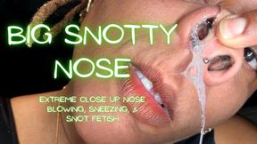 Big Snotty Nose – Extreme Close Up Nose Blowing, Sneezing, & Snot Fetish with Ebony Giantess Temptress Mango