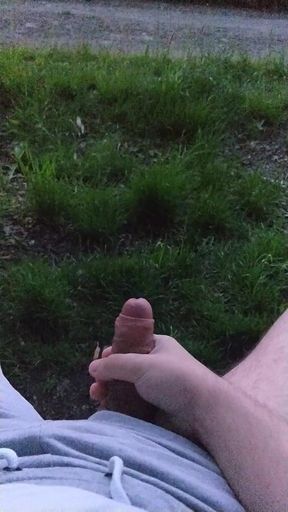 Evening park bench cumshot