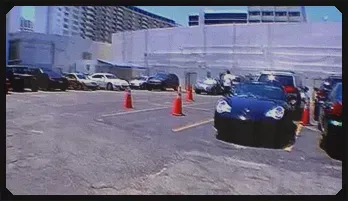 Lily Rose Ray Blowjob Video