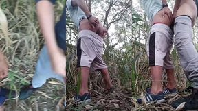 ofereci meu cu para 3 coras velhos no sigilo, na trilhas do sexo, proximo a estacao de trem.