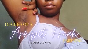 Diary Of An Armpit Freak