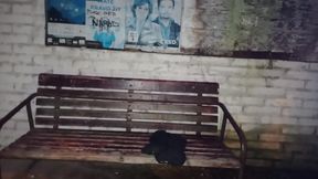 Bus Stop 2