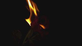 Surrender to the Lock: A Chastity Acceptance Audio for Obedient Subs