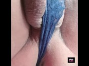 Playing alone with my mother-in-law's panties
