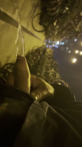 Flashing dick in Nijmegen city
