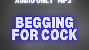BEGGING FOR COCK *MP3 AUDIO ONLY*