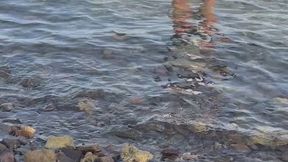 Whale of a time in the sea! With my inflatable whale! In the sea! On holiday! In a black bikini!