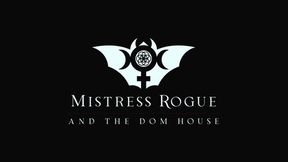 The Daily Life of Mistress Rogue's Pet II