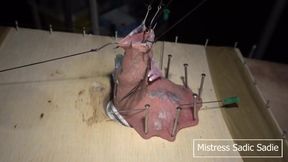 Hardcore CBT with Fishhooks and Needles