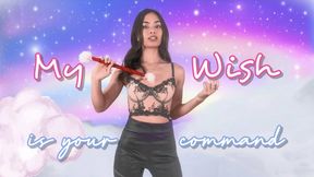 My Wish is your Command