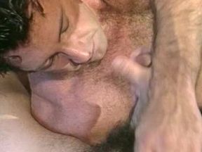Bi Desires